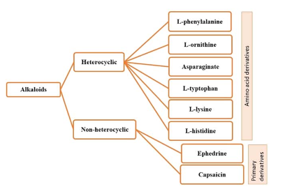Phân loại alkaloid từ thực vật.